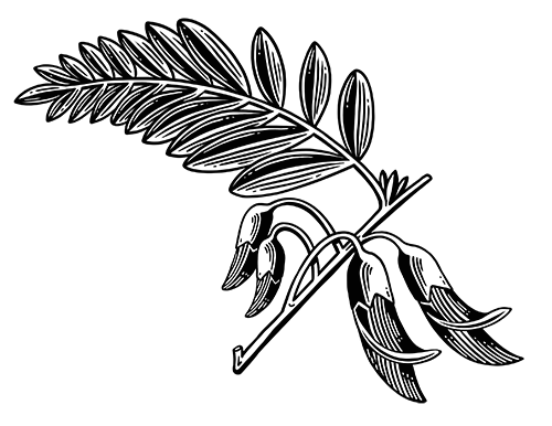 Leaves from a Juniper berry