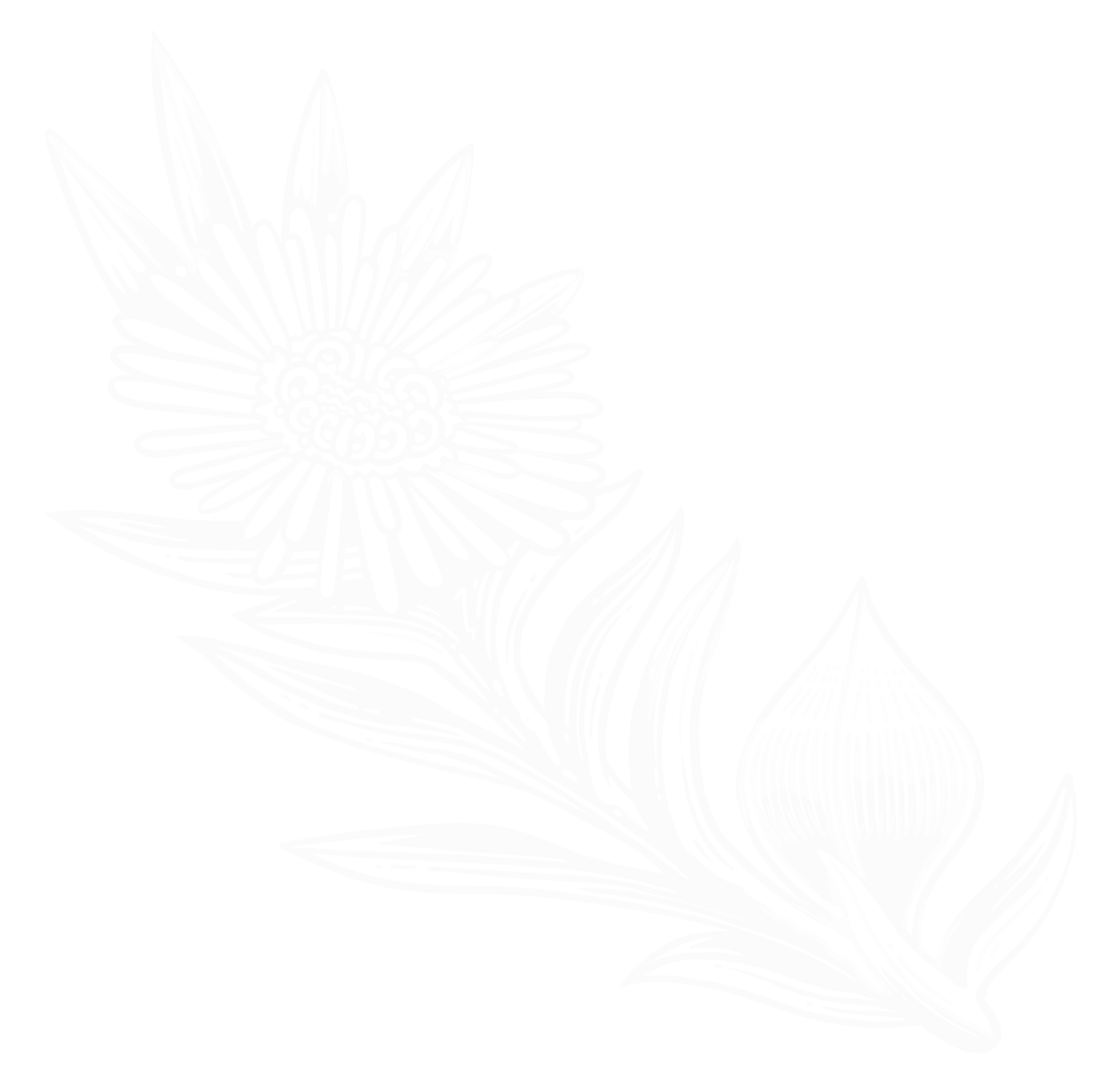 Botanical_06_White Flower