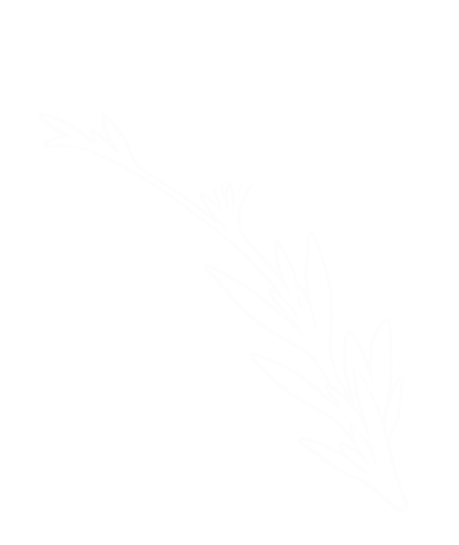 Botanical_08_White Flower