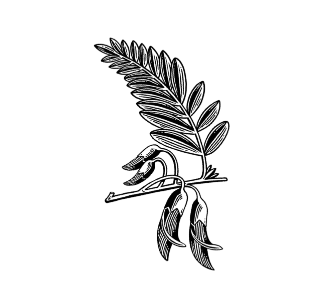 Untitled-Artwork 1 (2)