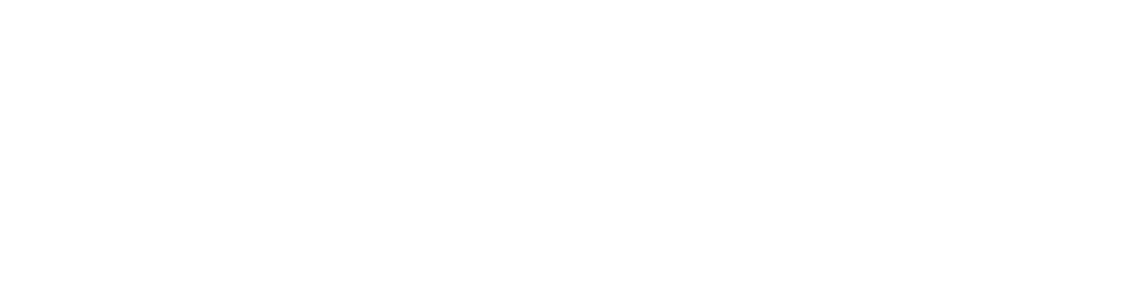 Gin Academy Logo White